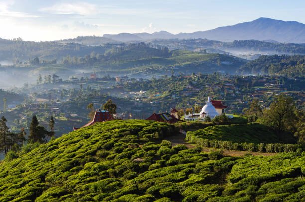 Nuwara Eliya